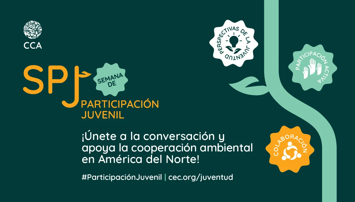 Semana de participación juvenil