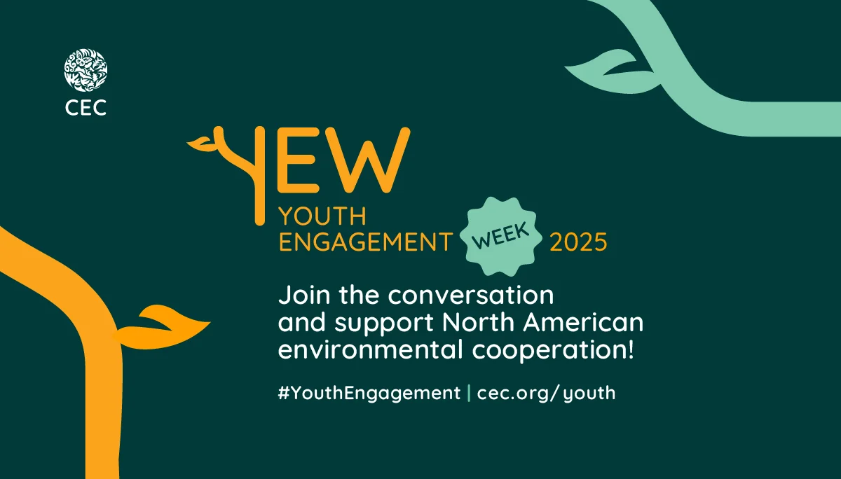 Youth Engagement Week 2025 - #YouthEngagement