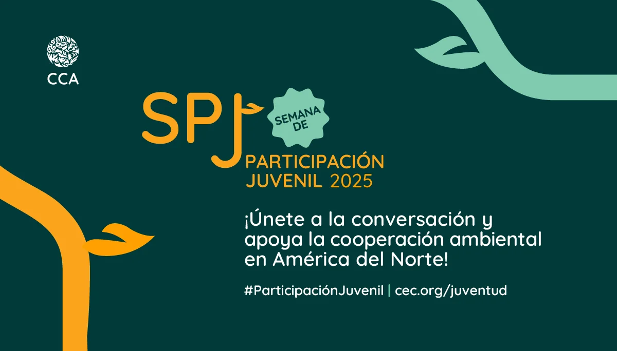 Semana de participación juvenil