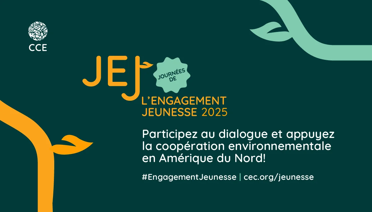 Journées de l’engagement jeunesse 2025
