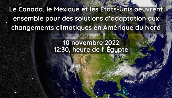 COP27