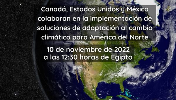 COP27