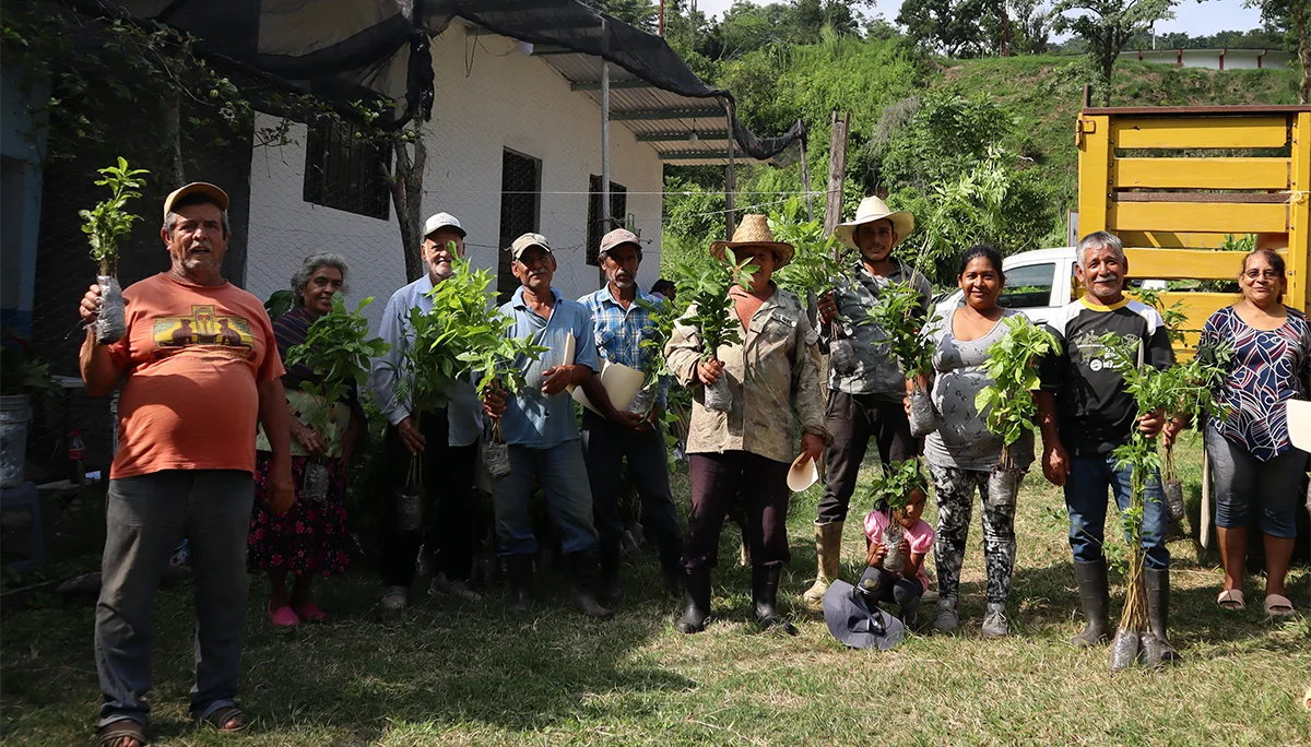 Cooperativa AMBIO