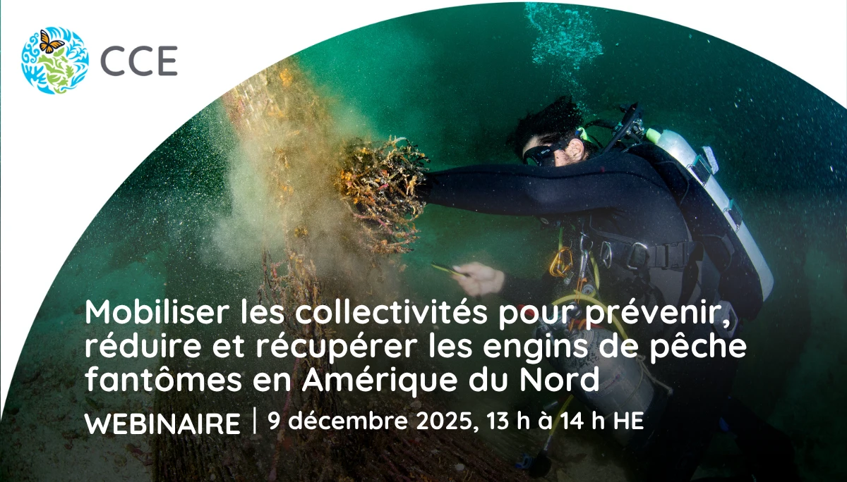 Prévenir, réduire et récupérer les engins de pêche fantômes