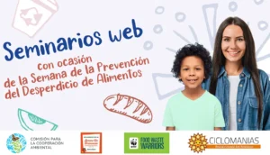 Seminarios web