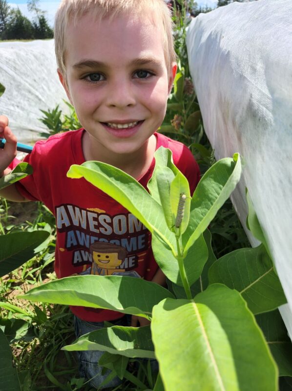 Monarch Blitz 2025