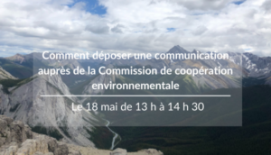 How to file a submission with the CEC