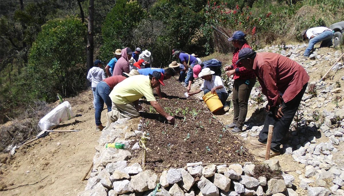Fundación Tosepan