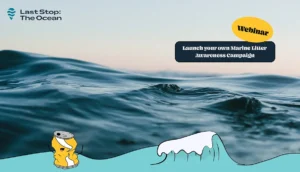 Marine Litter Awareness