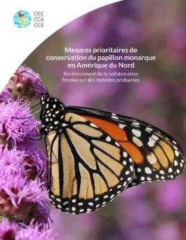 conservation du papillon monarque