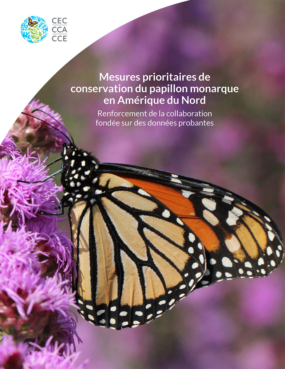 conservation du papillon monarque
