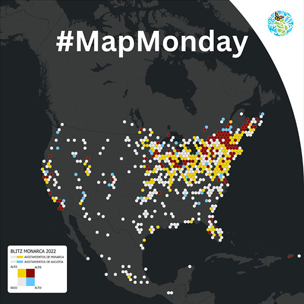 #MapMonday Monarch Blitz Map