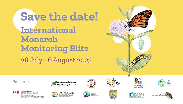 Monarch Blitz 2023