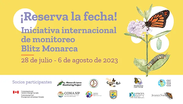 Monarch Blitz 2023