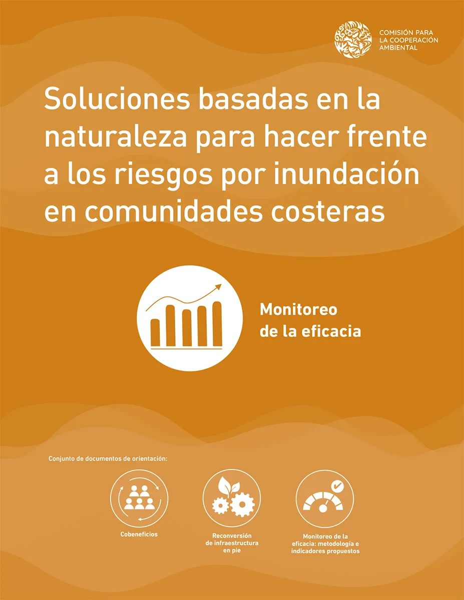 Monitoreo de la eficacia