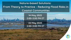 Nature-based solutions