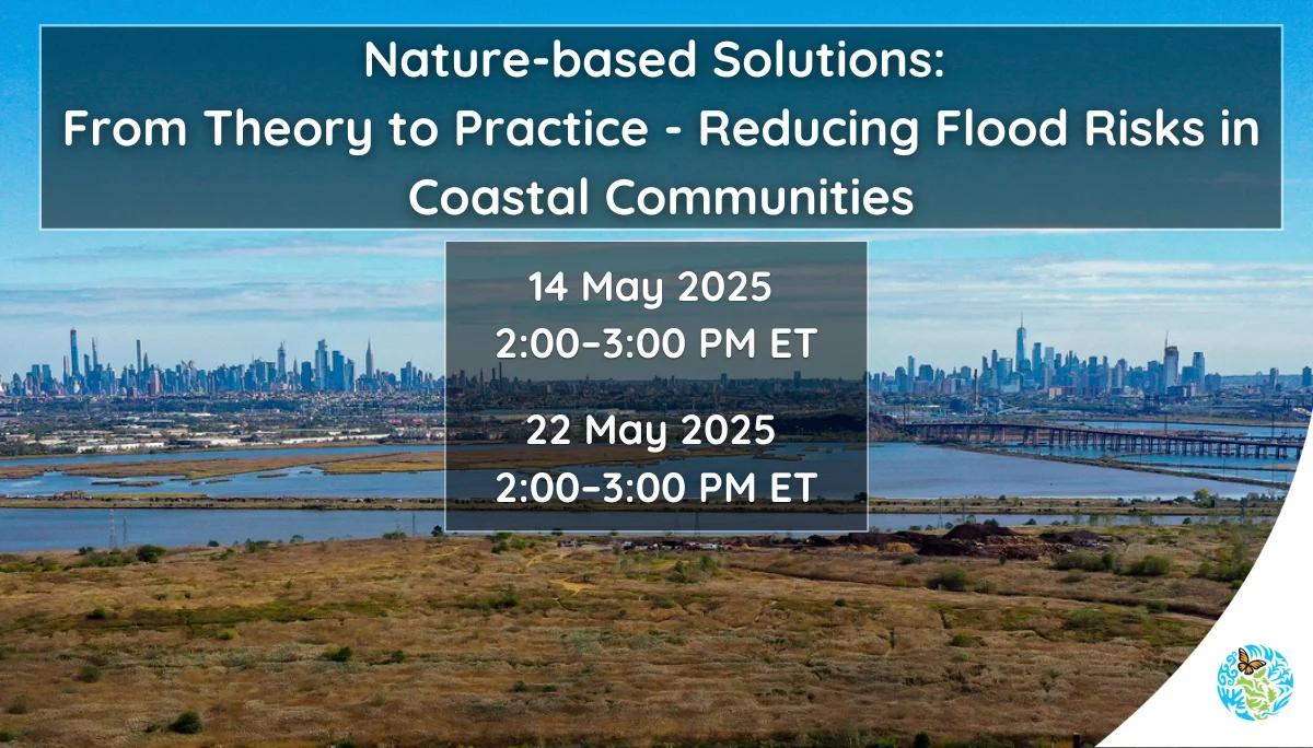 Nature-based solutions