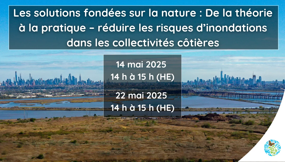 Les solutions fondées sur la nature (SFN)
