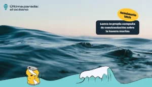 Marine Litter Awereness