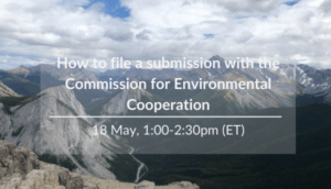 How to file a submission with the CEC