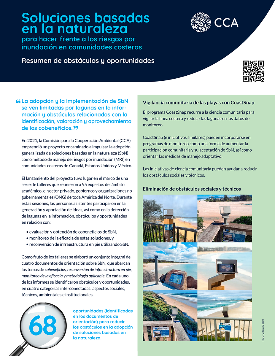 Portada de Publicación