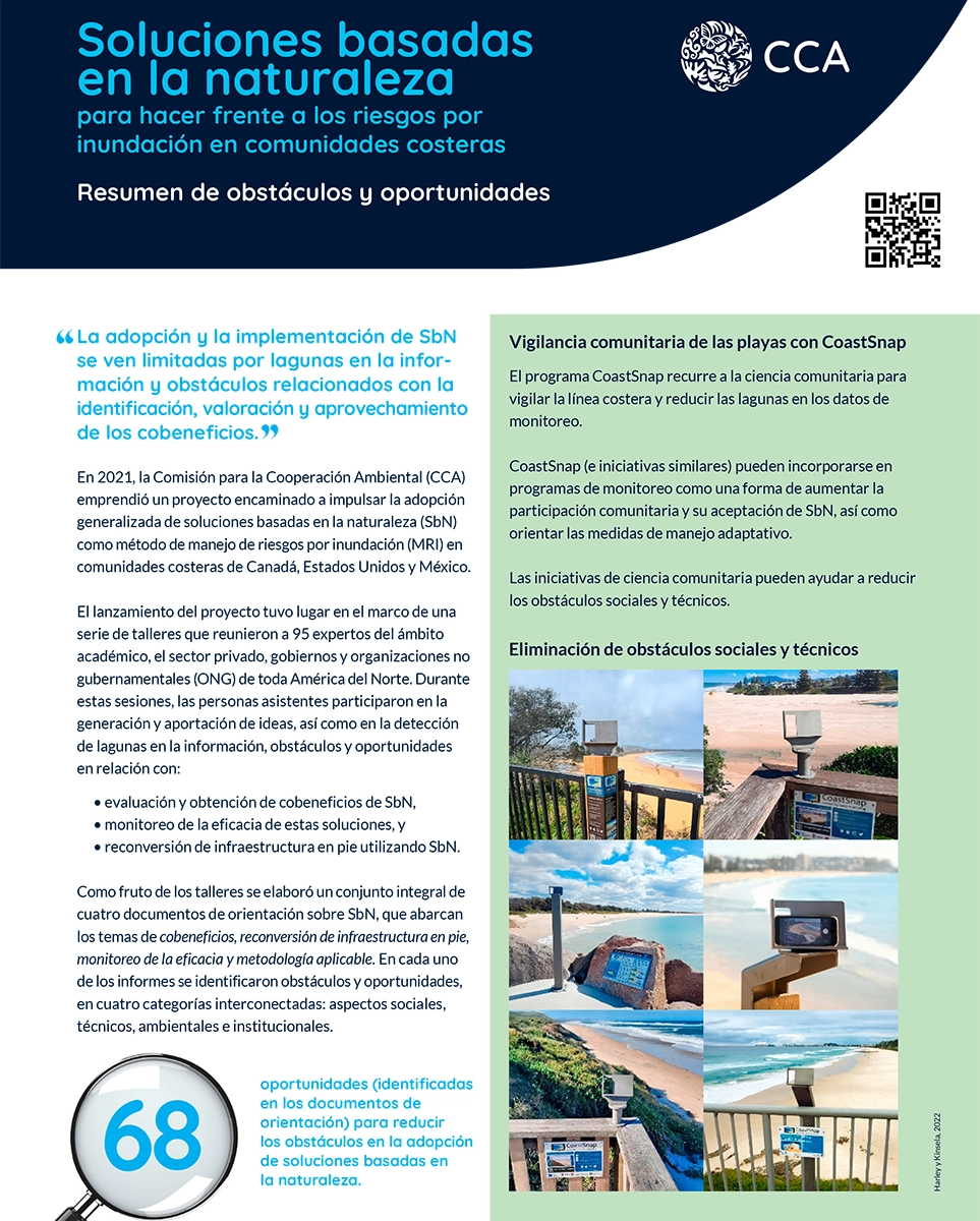 Portada de Publicación