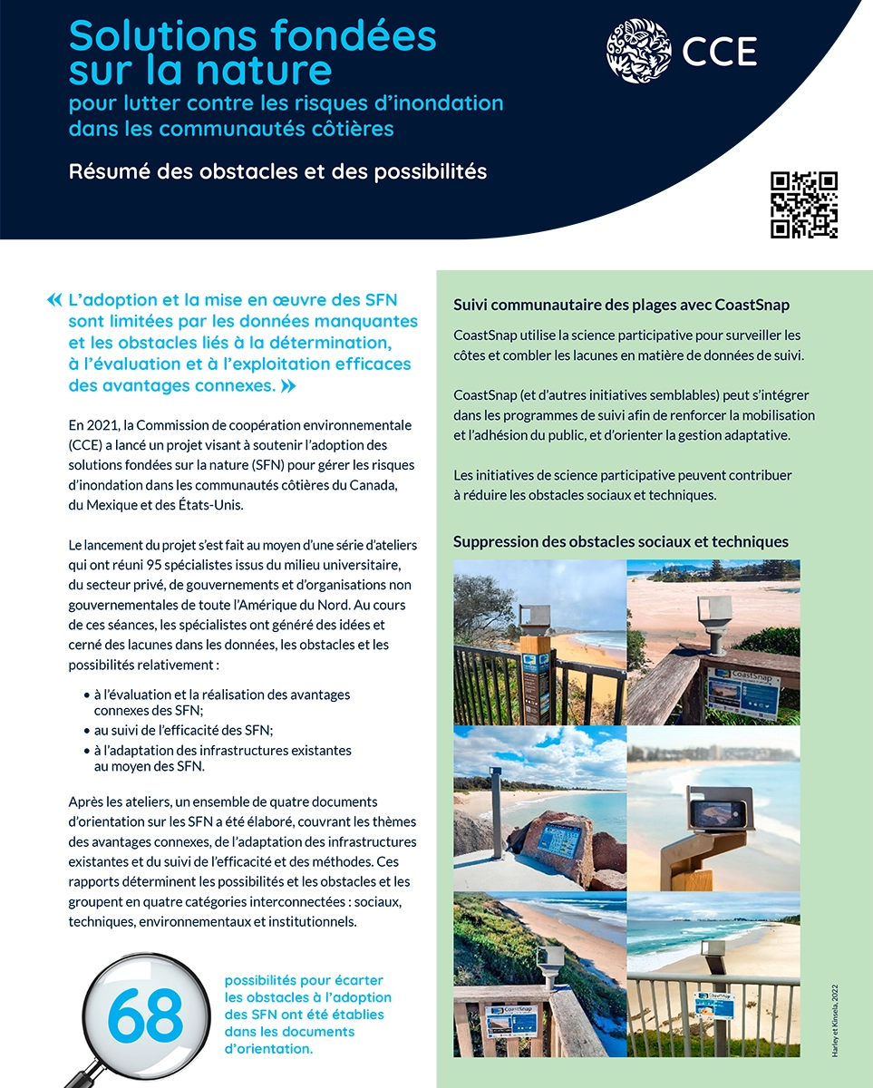 Couverture de la publication