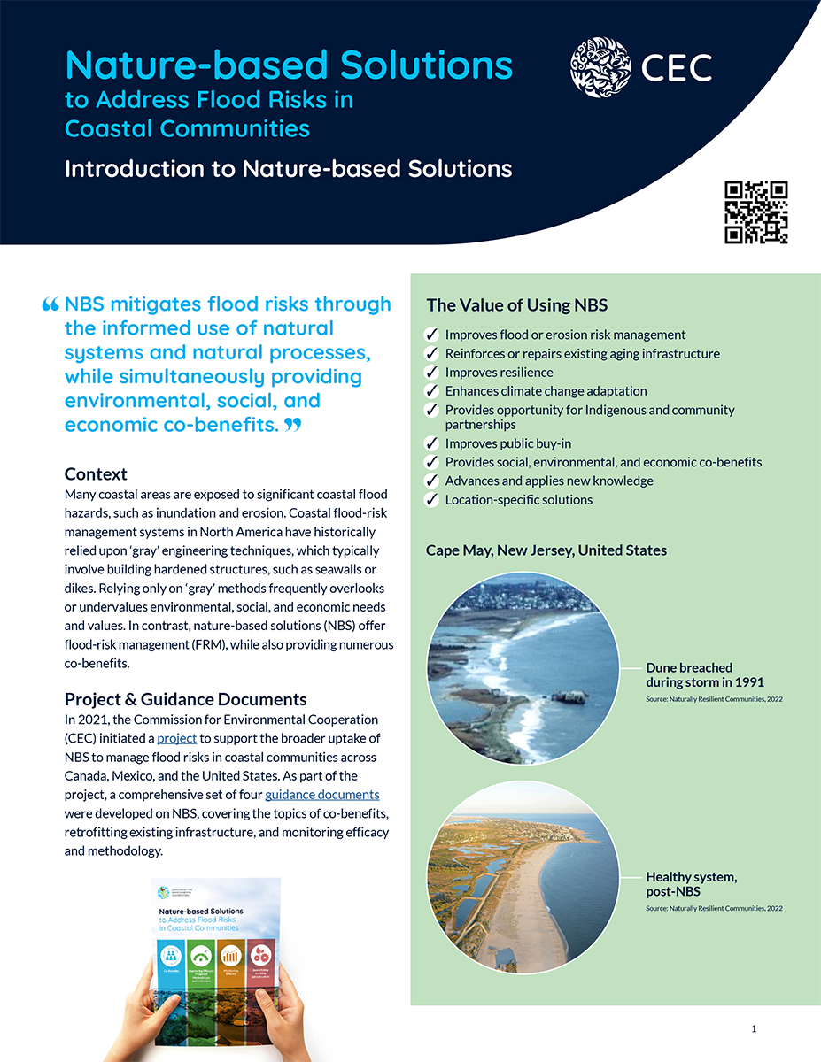 Publication Cover - Introduction to Nature-based Solutions