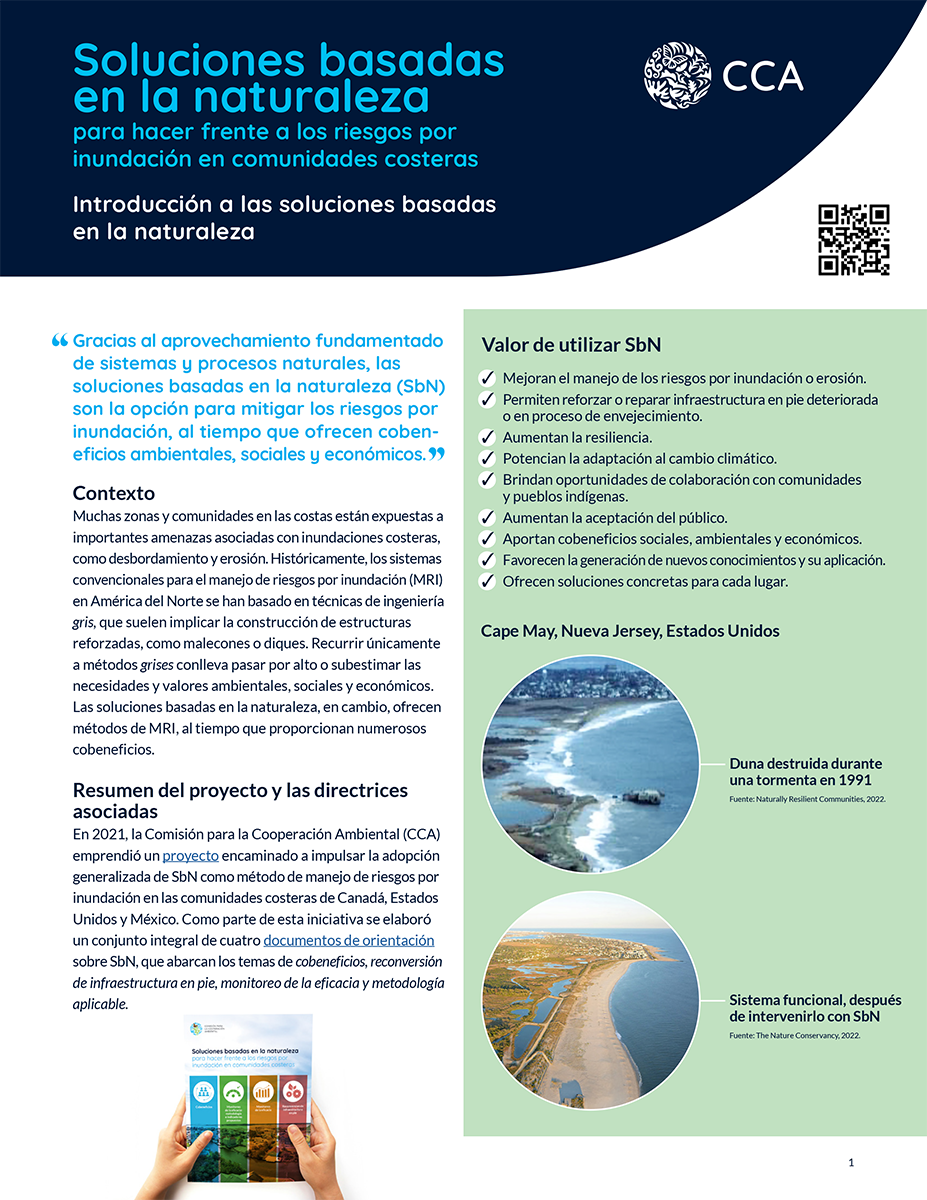 Portada de Publicación