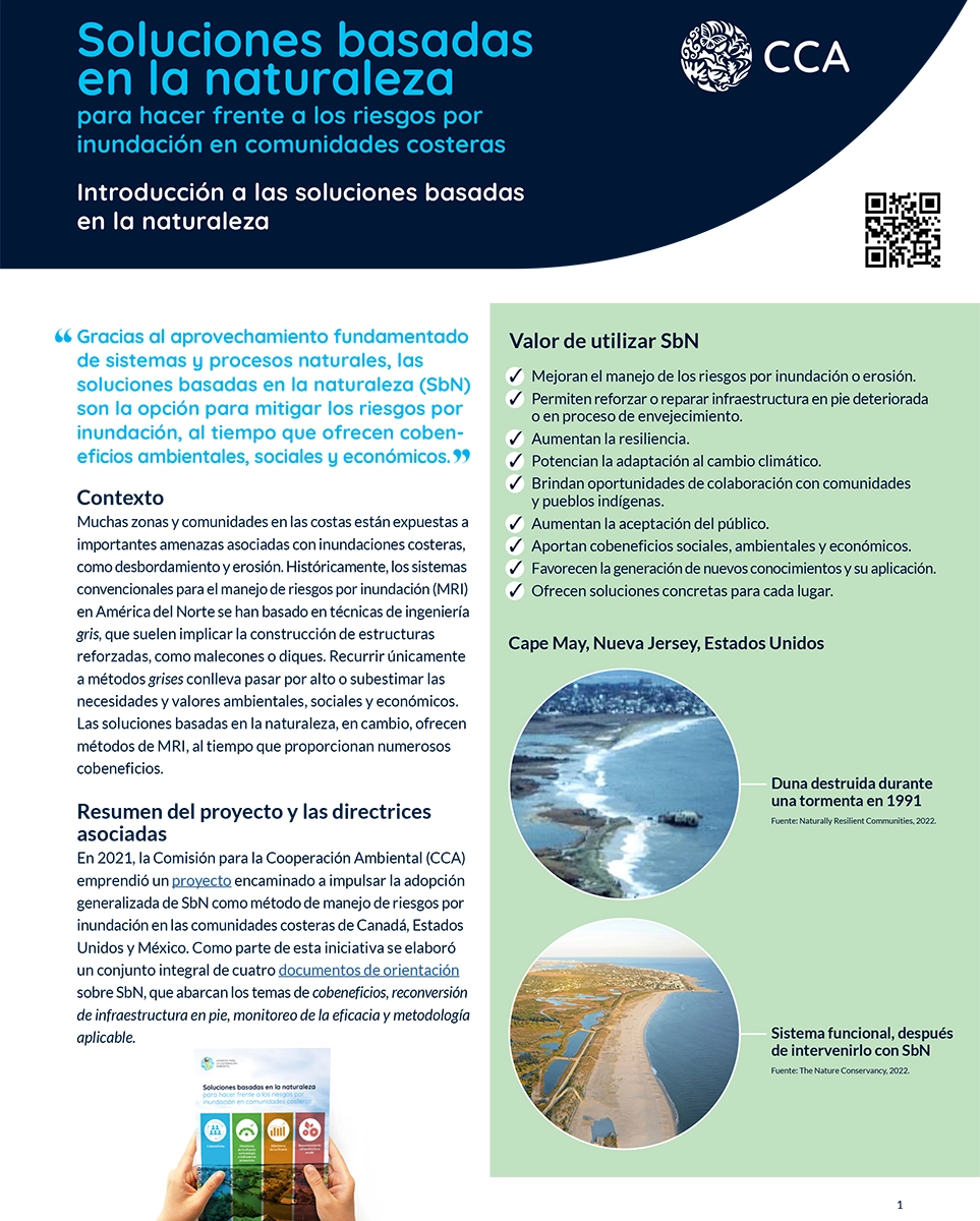 Portada de Publicación