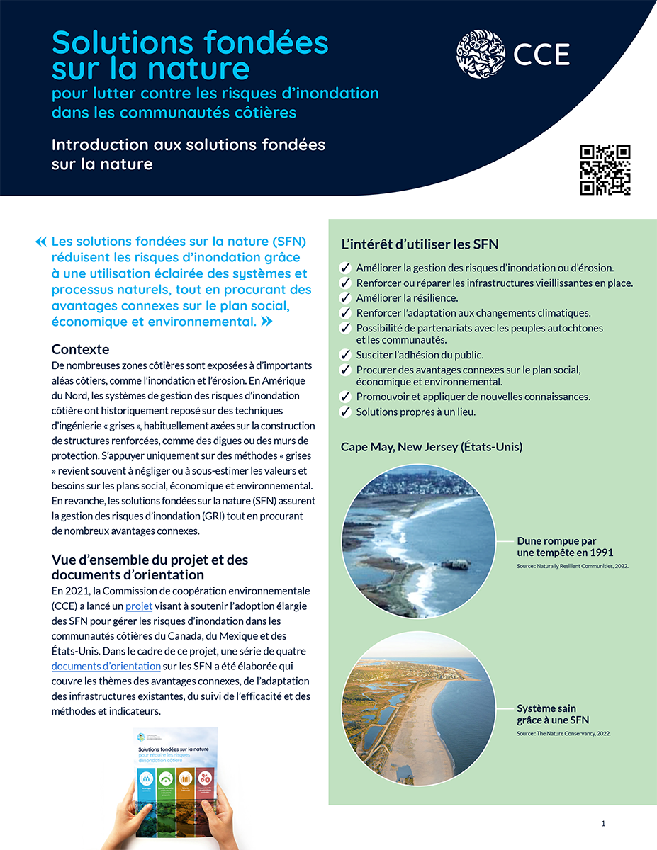 Couverture de la publication