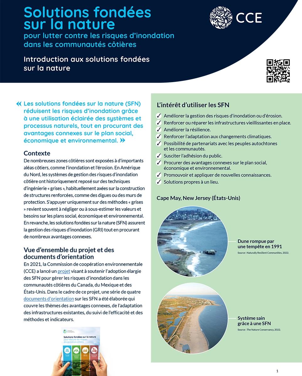 Couverture de la publication