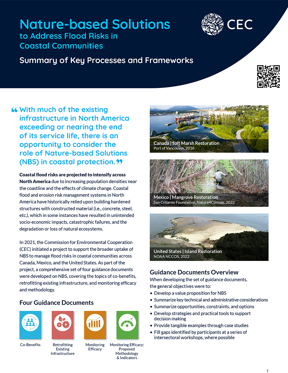 Publication Cover - Summary of Key Processes and Frameworks