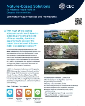 Publication Cover - Summary of Key Processes and Frameworks