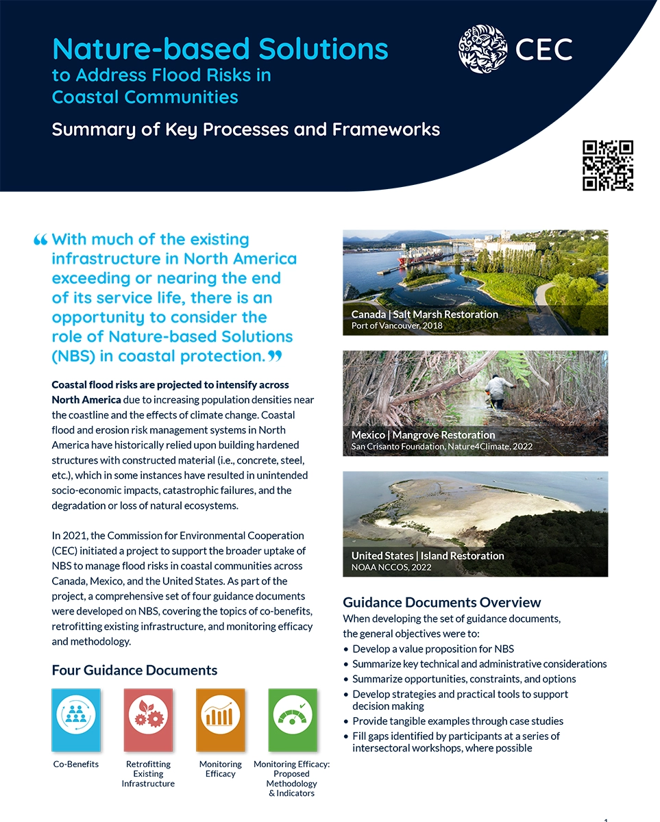 Publication Cover - Summary of Key Processes and Frameworks
