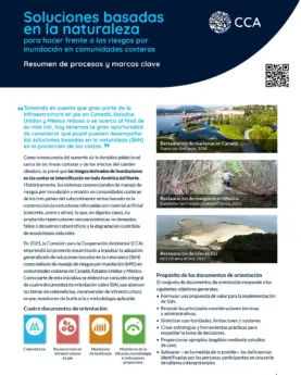 Portada de Publicación