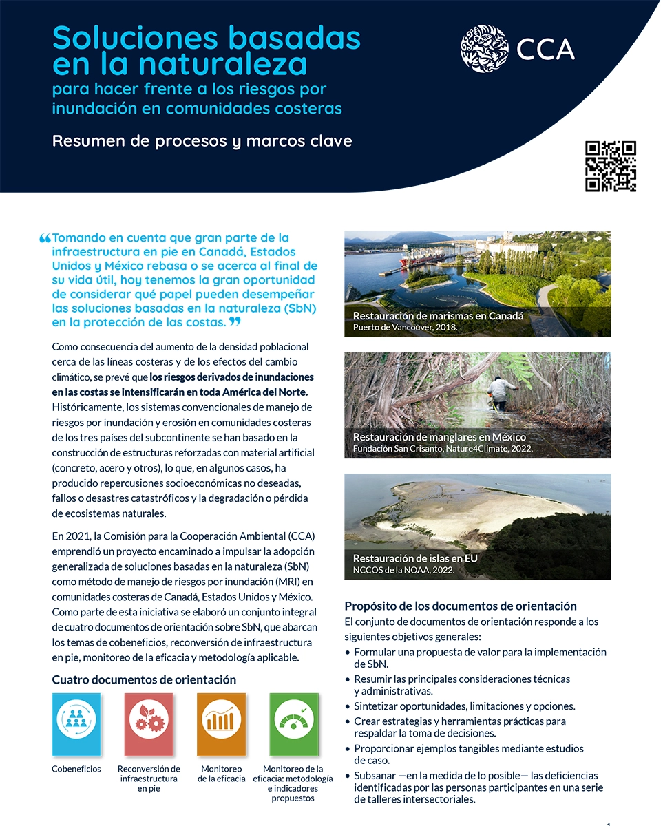 Portada de Publicación