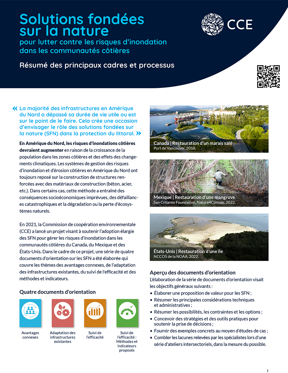 Couverture de la publication