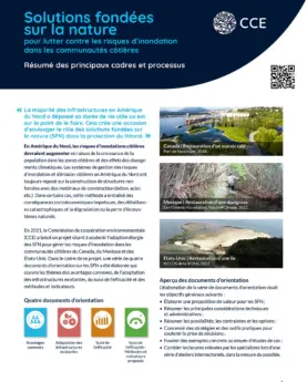 Couverture de la publication