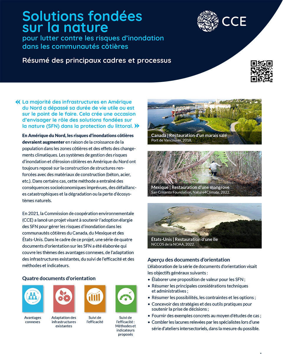 Couverture de la publication