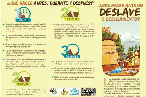 gestión del riesgo