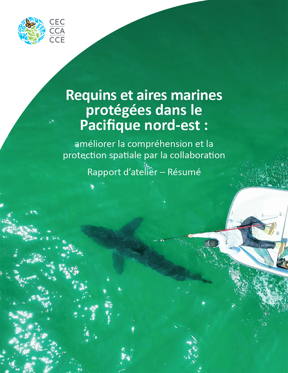 Requins et aires marines protégées