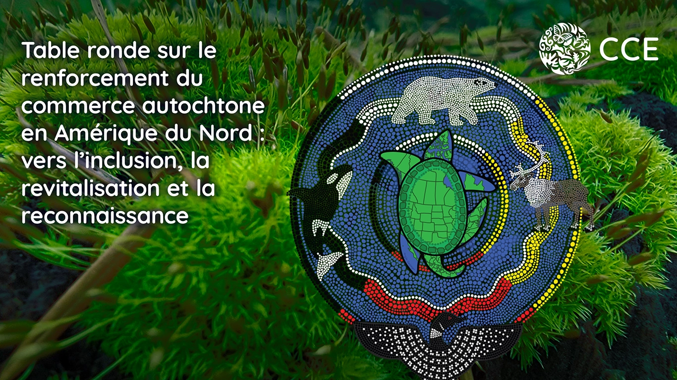 Strengthening Indigenous Trade in North America