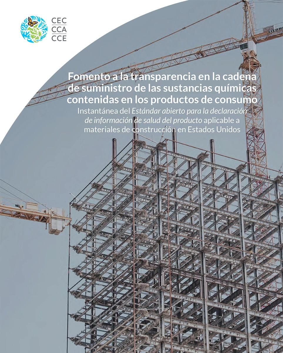 Portada de Publicación