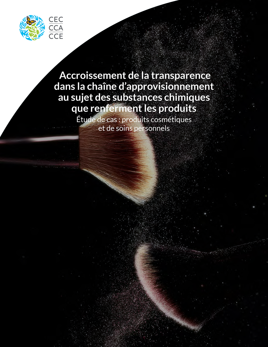 Couverture de la publication