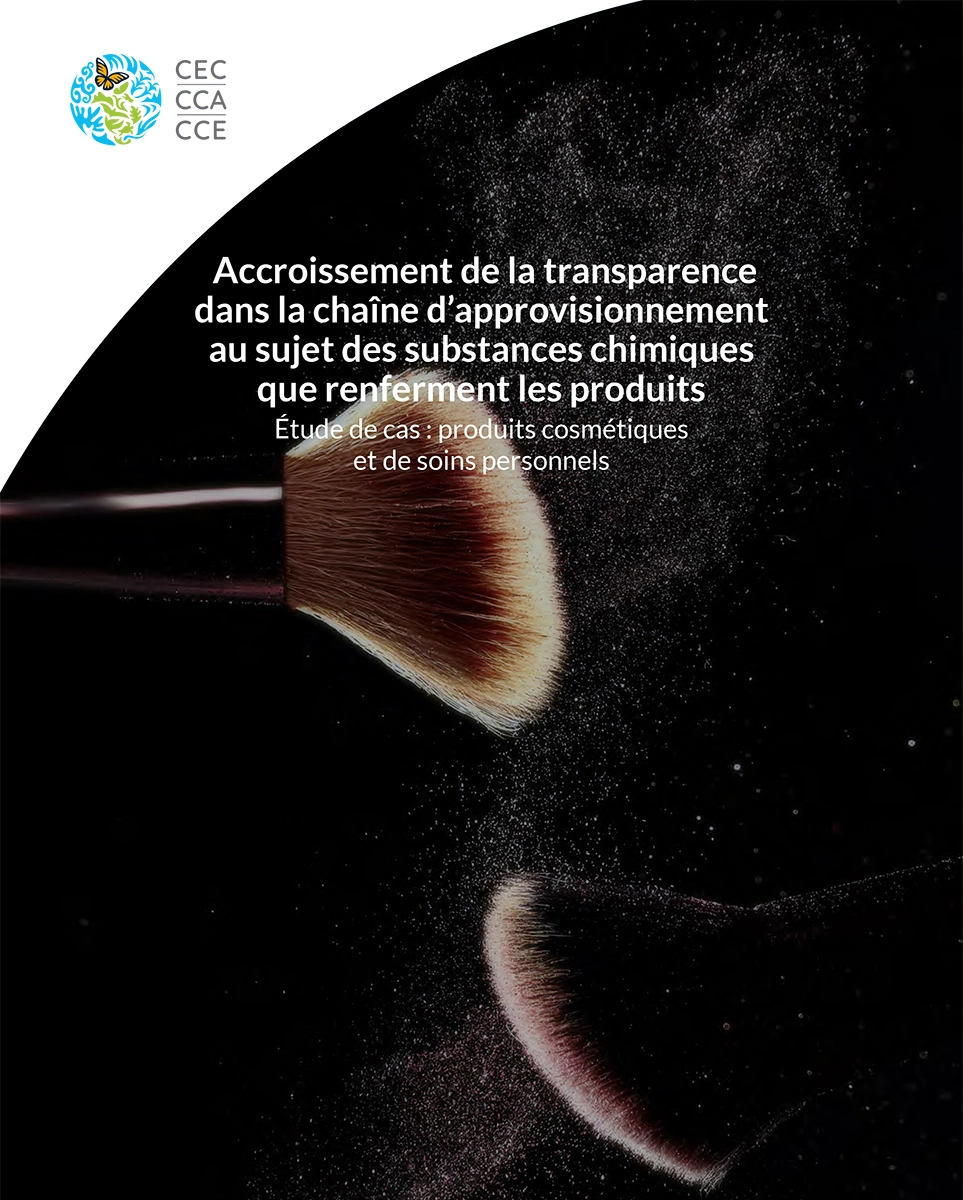 Couverture de la publication