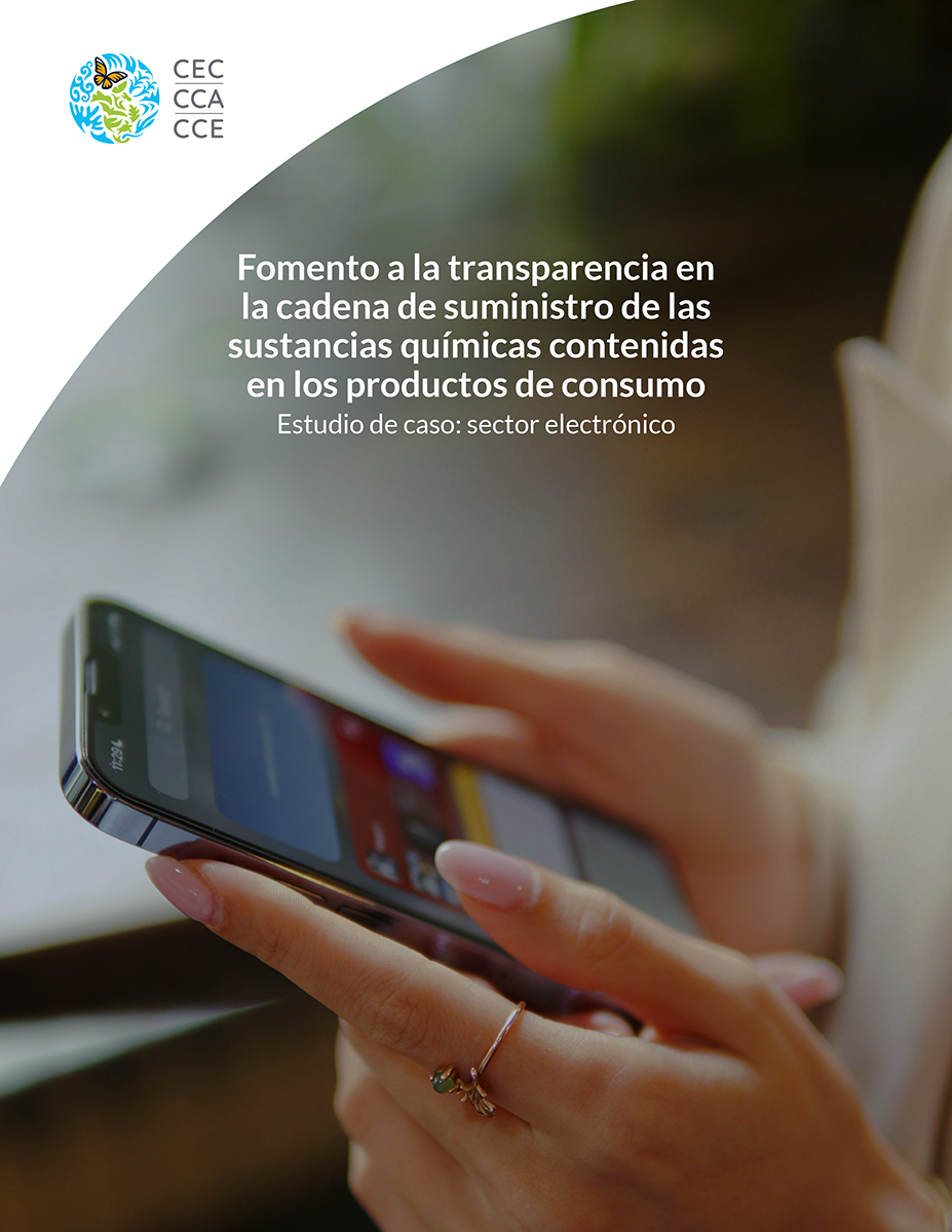 Portada de Publicación