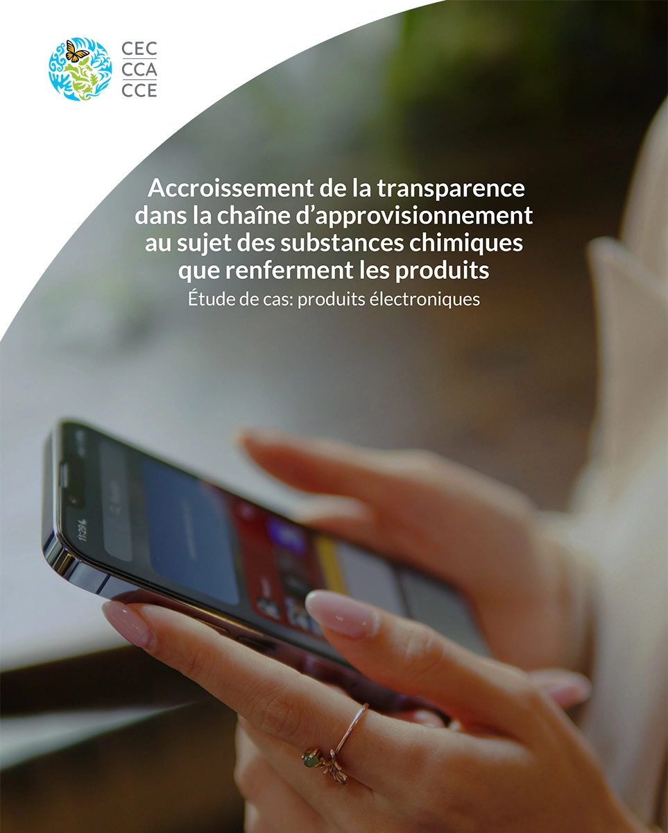 Couverture de la publication