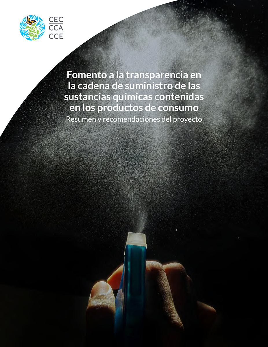 Portada de Publicación