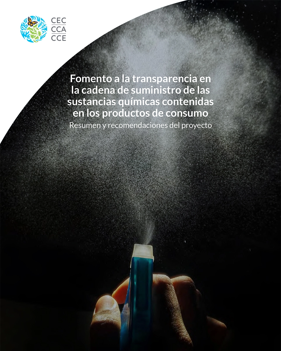 Portada de Publicación